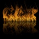 Benutzerbild von TheXxflasherxX_archive