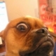 Benutzerbild von DocMavy_archive