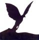 Benutzerbild von fliegvogel_archive