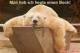 Benutzerbild von Gandy_archive