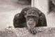 Benutzerbild von Emil 23_archive