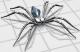 Benutzerbild von metalwebspider